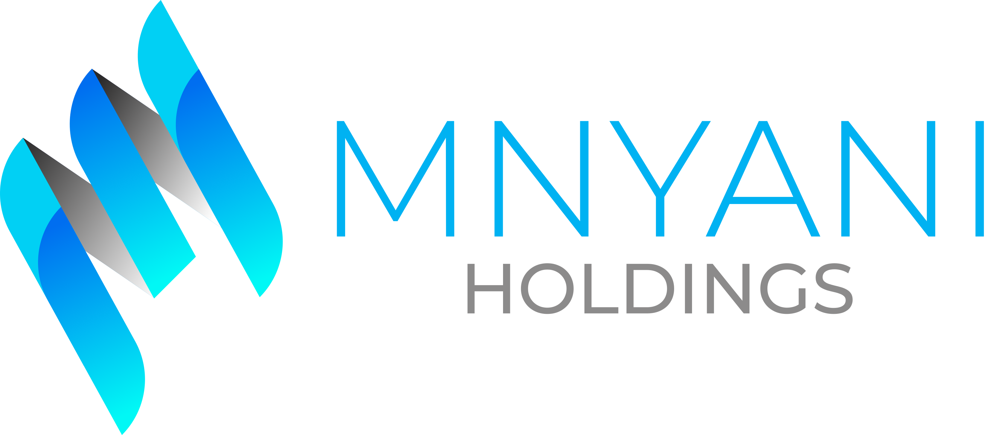 Mnyani Services